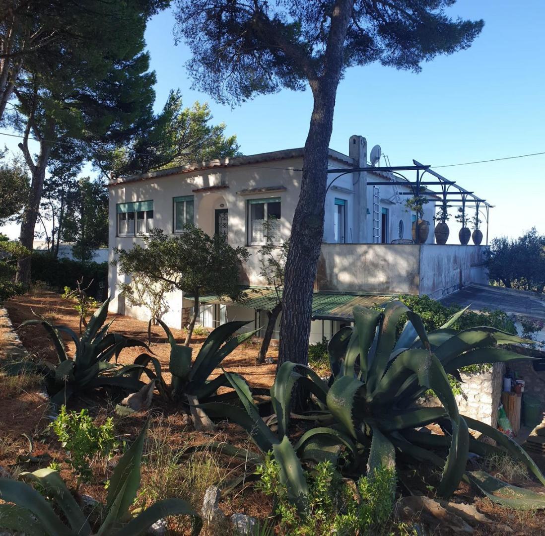 Villa Capri kaufen (2)